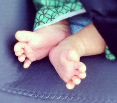 Rex Foot