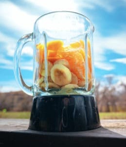 8 Easy Food Blender Tips