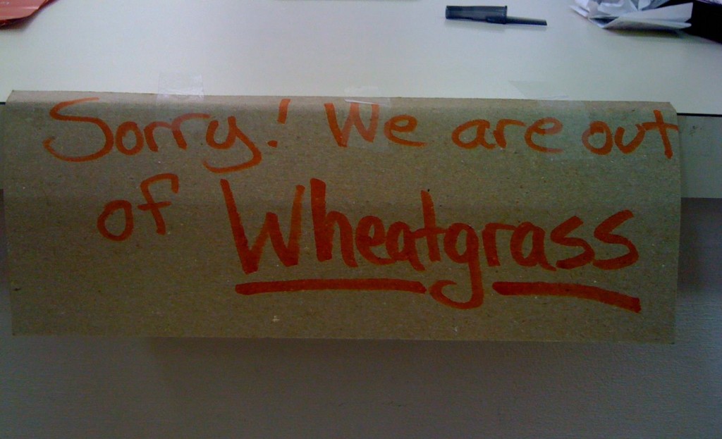wheatgrass