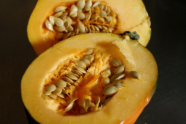 Squash